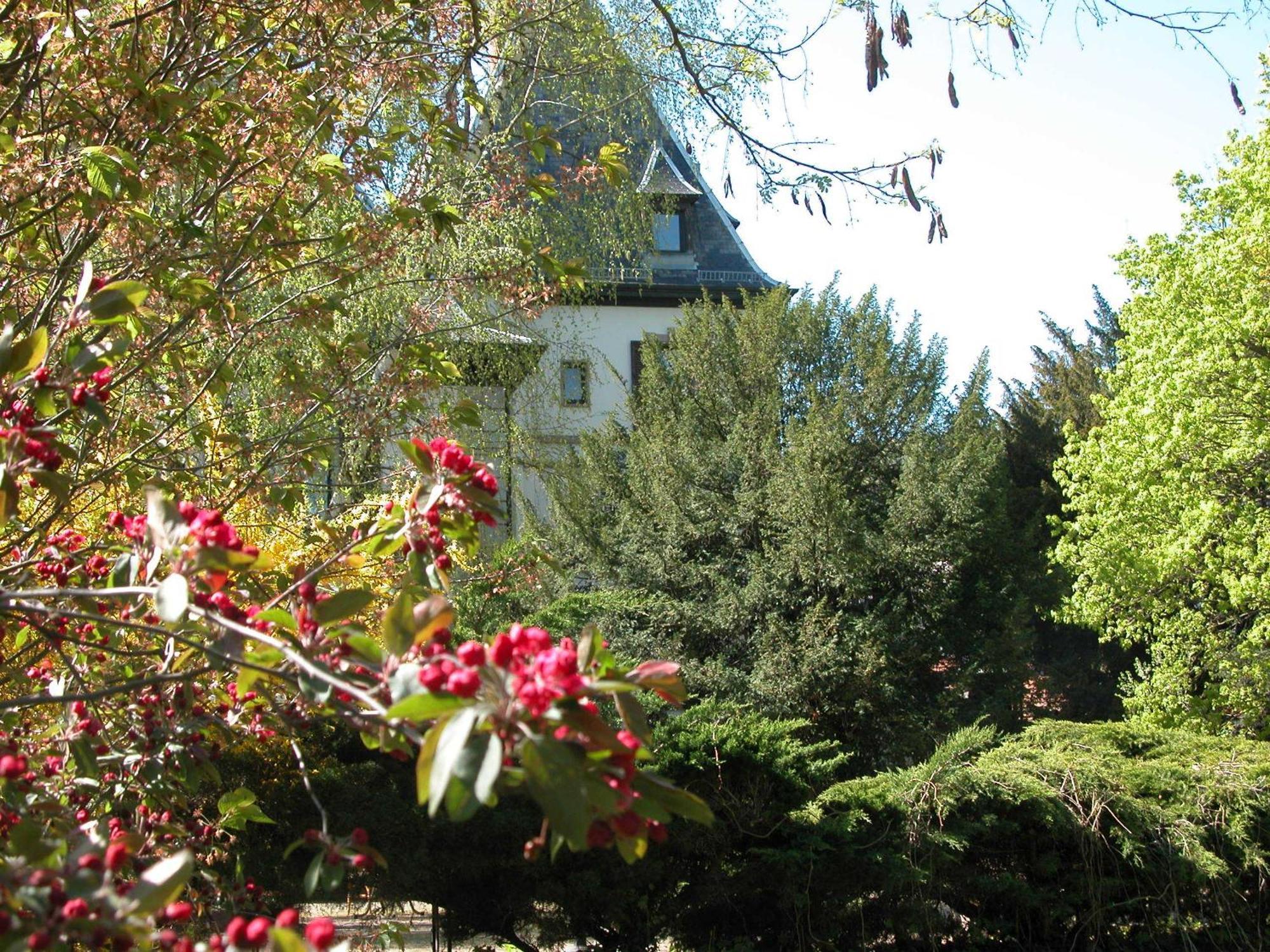 Hotel The Originals Domaine de Beaupré - Room Service Disponible Guebwiller Exterior foto